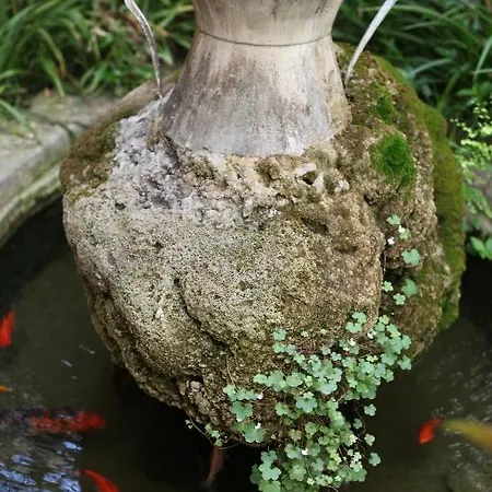 Pink Floyd Pensjonat Rzym